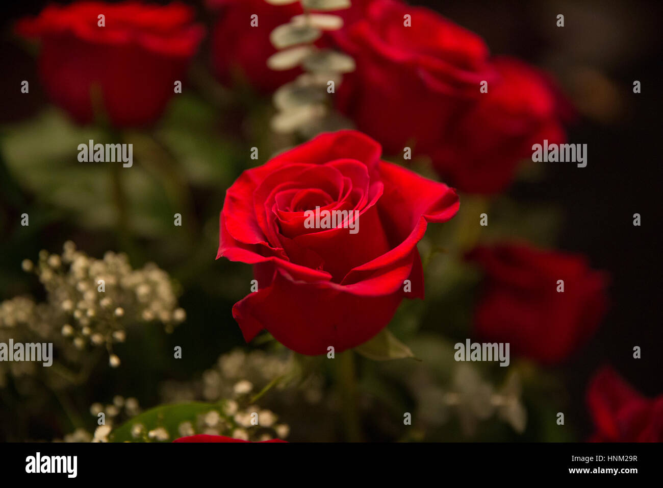 Bouquet rose Banque D'Images