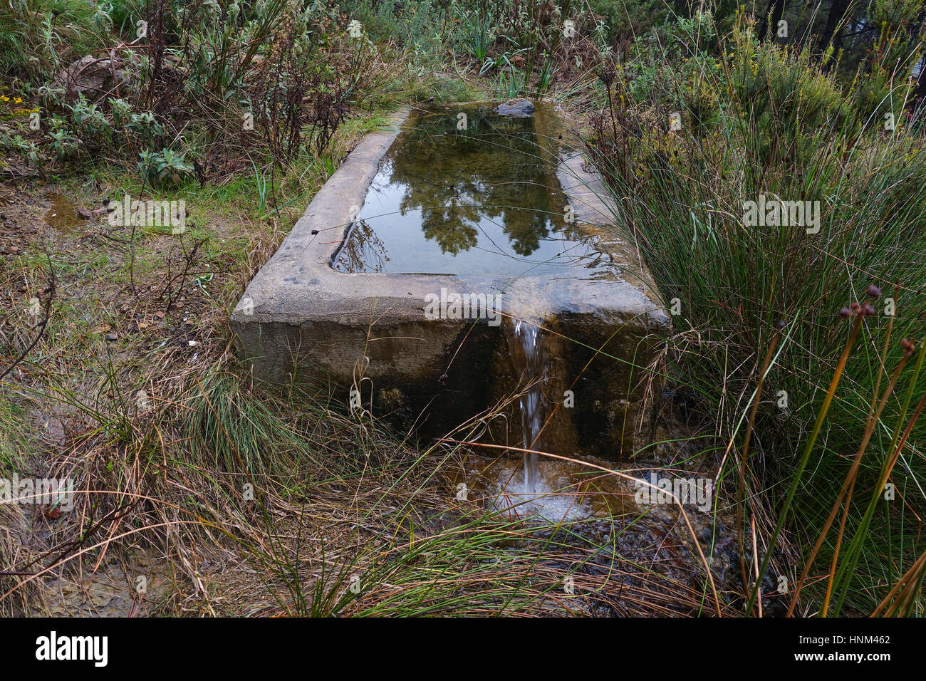 Fontaine et rural avec bassin pour l'agriculture et de l'élevage, Malaga, Espagne Banque D'Images