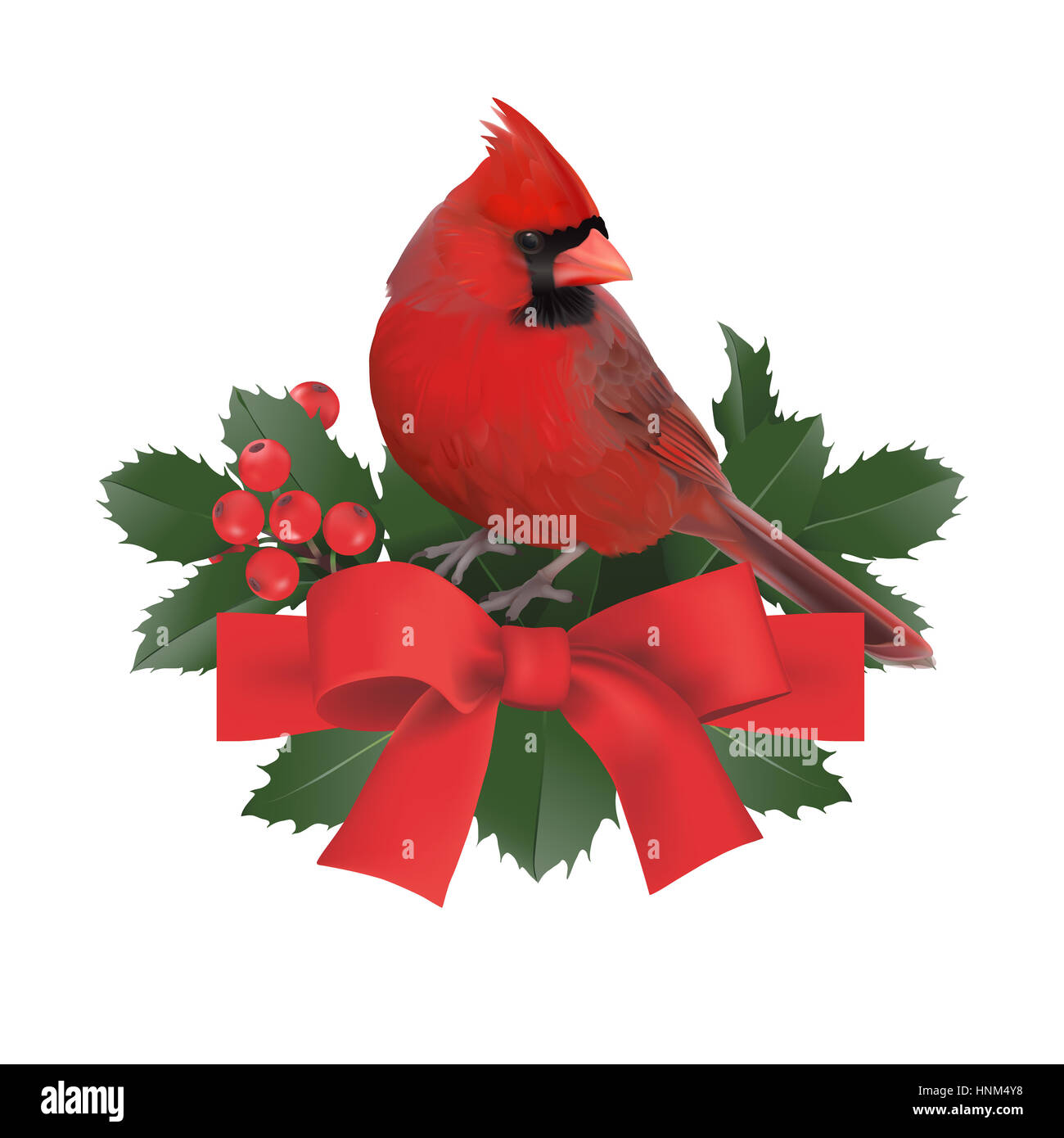 Ornement de Noël avec cardinal rouge, des baies de houx et arc rouge, sur fond blanc.illustration numérique réaliste. Banque D'Images