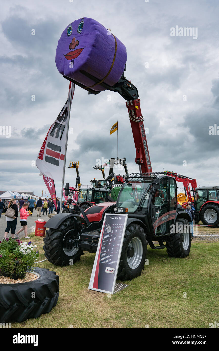 Espèce Farmlift avec un amical face à la balle pourpre montrent d'Anglesey Banque D'Images