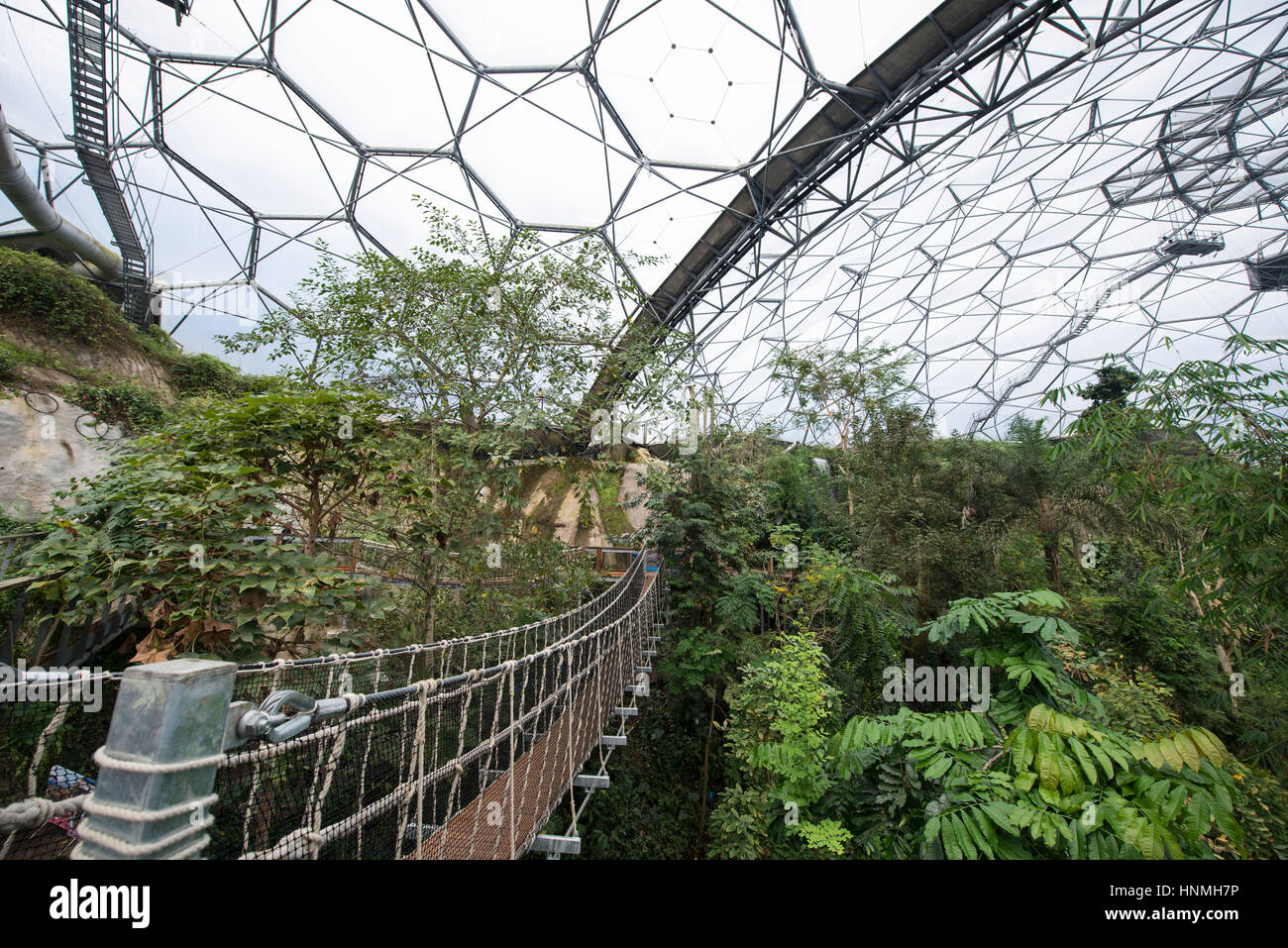Le nouveau pont de corde à l'intérieur de la forêt tropicale, Biome Eden Project. Banque D'Images