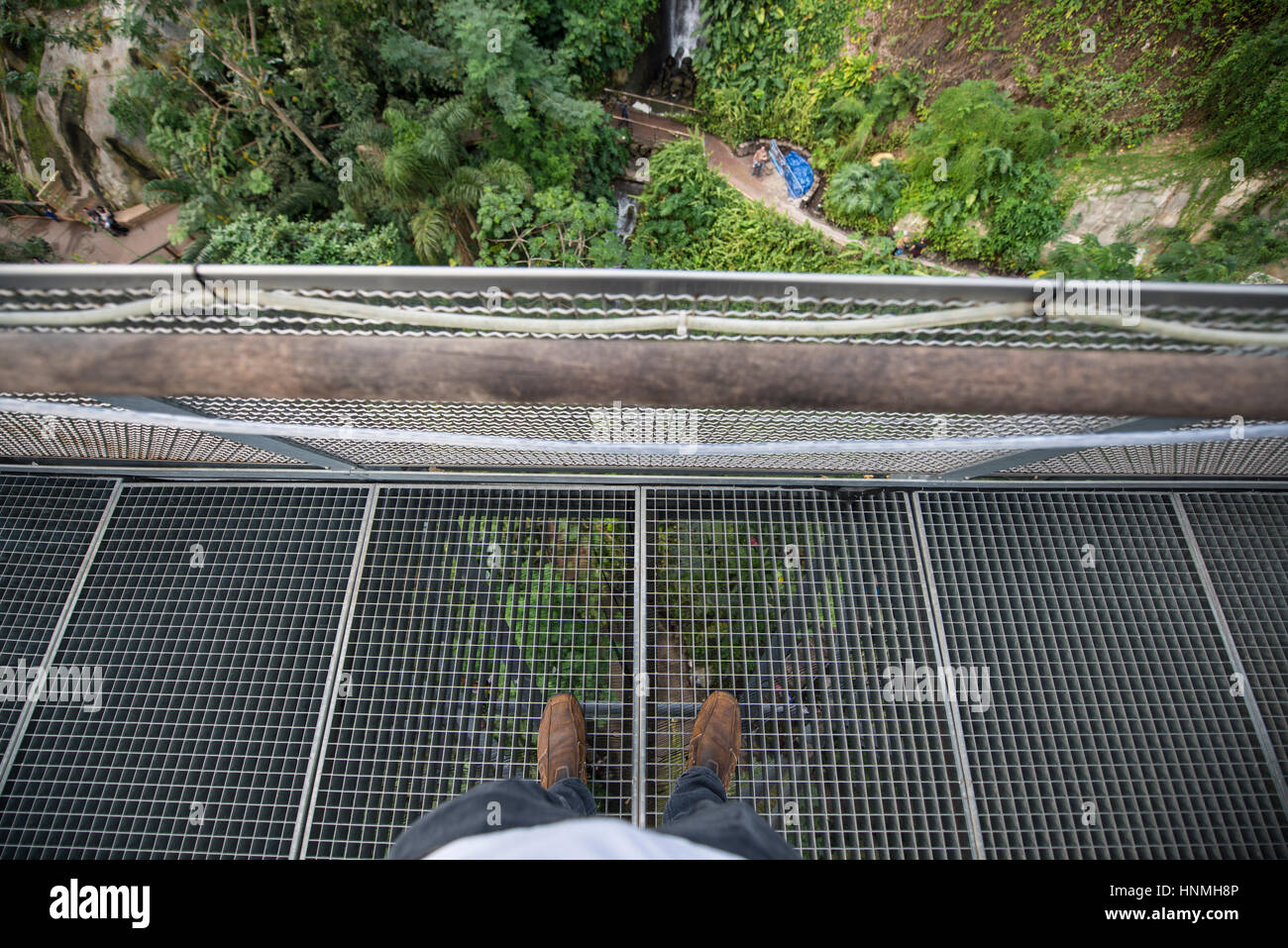 La plate-forme d'observation, biome de la forêt tropicale, l'Eden Project. Banque D'Images