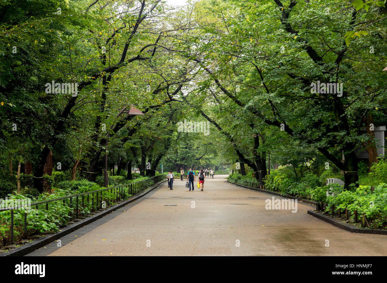Les gens qui marchent sur la promenade au Parc d'Ueno à Tokyo, Japon. Banque D'Images