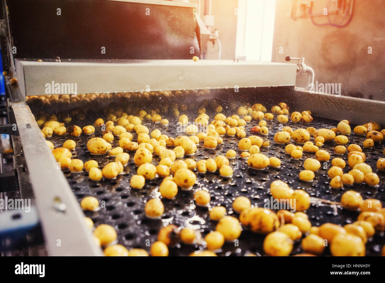 Nettoyer les pommes de terre sur un convoyeur à courroie, préparé pour  l'emballage. L'agroalimentaire, l'industrie alimentaire et le commerce de  la technologie concept Photo Stock - Alamy