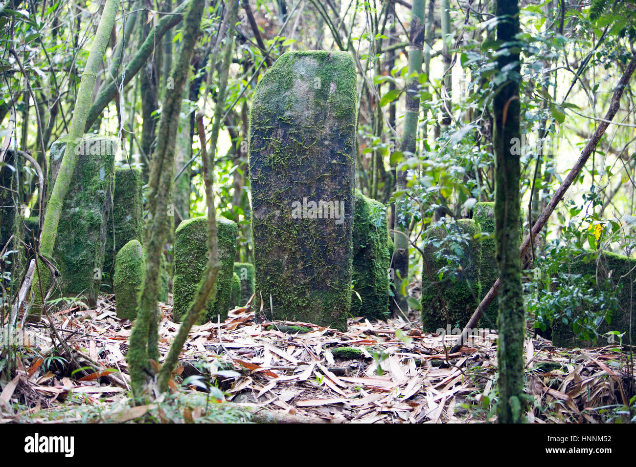 Cimetière ancien à Madagascar Banque D'Images