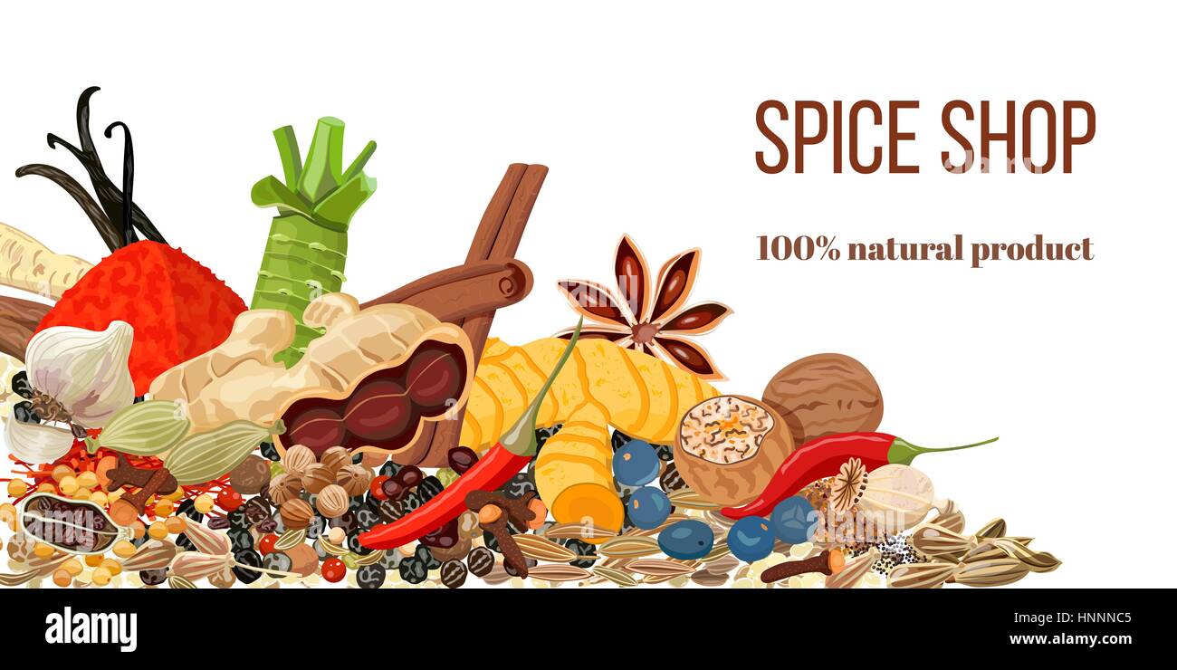 Ensemble d'épices culinaires populaires réaliste. Spice shop logo. Store Se connecter. Le gingembre, piment, ail, muscade, anis, etc. pour stocker, les soins de santé naturels Illustration de Vecteur