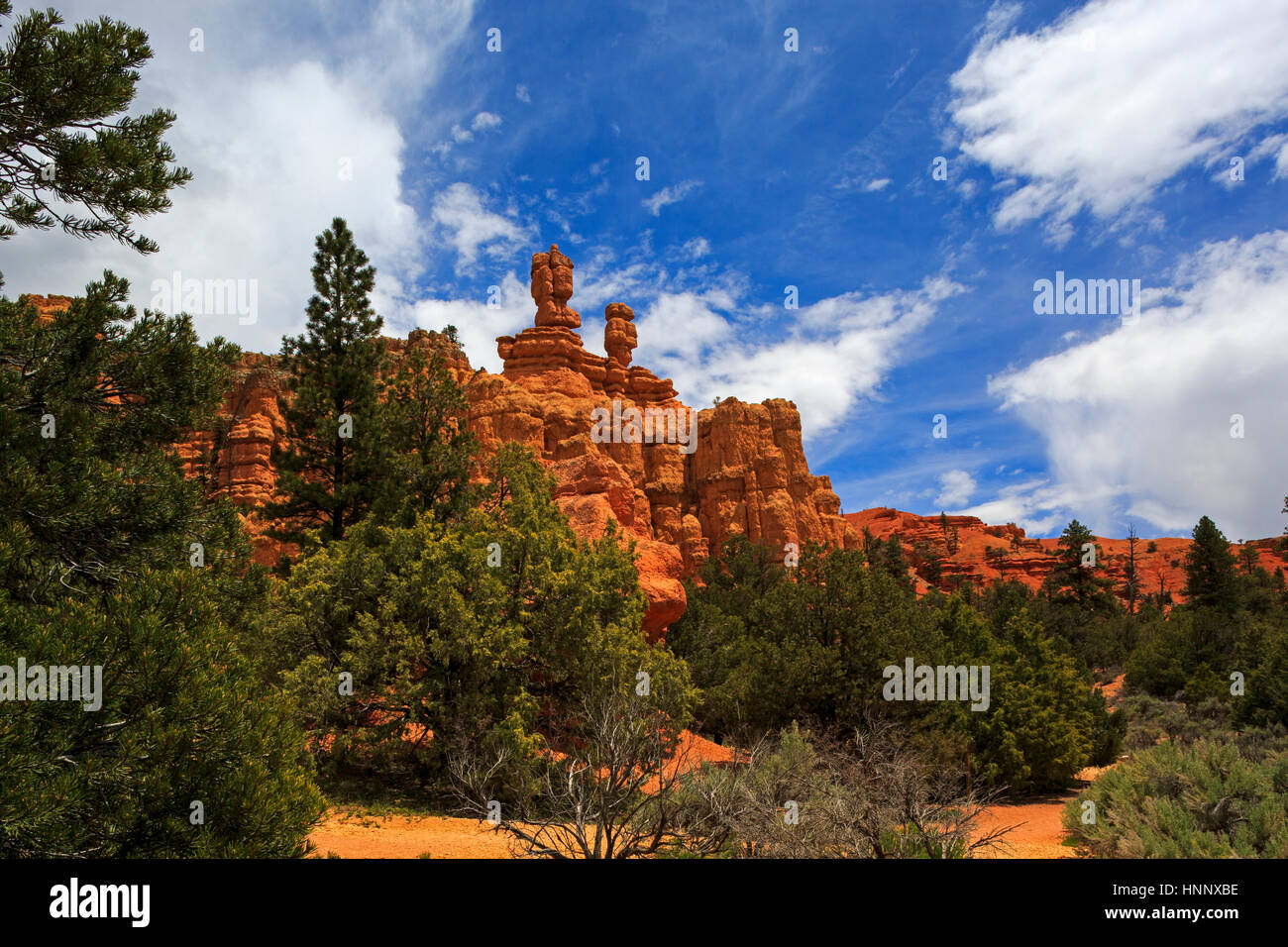 C'est un point de vue de la complexité des murs de Red Rock Canyon rouge comme vu à partir de la Scenic Byway 12, 'un voyage à travers le temps Scenic Byway' est de Panguitch, Ga Banque D'Images