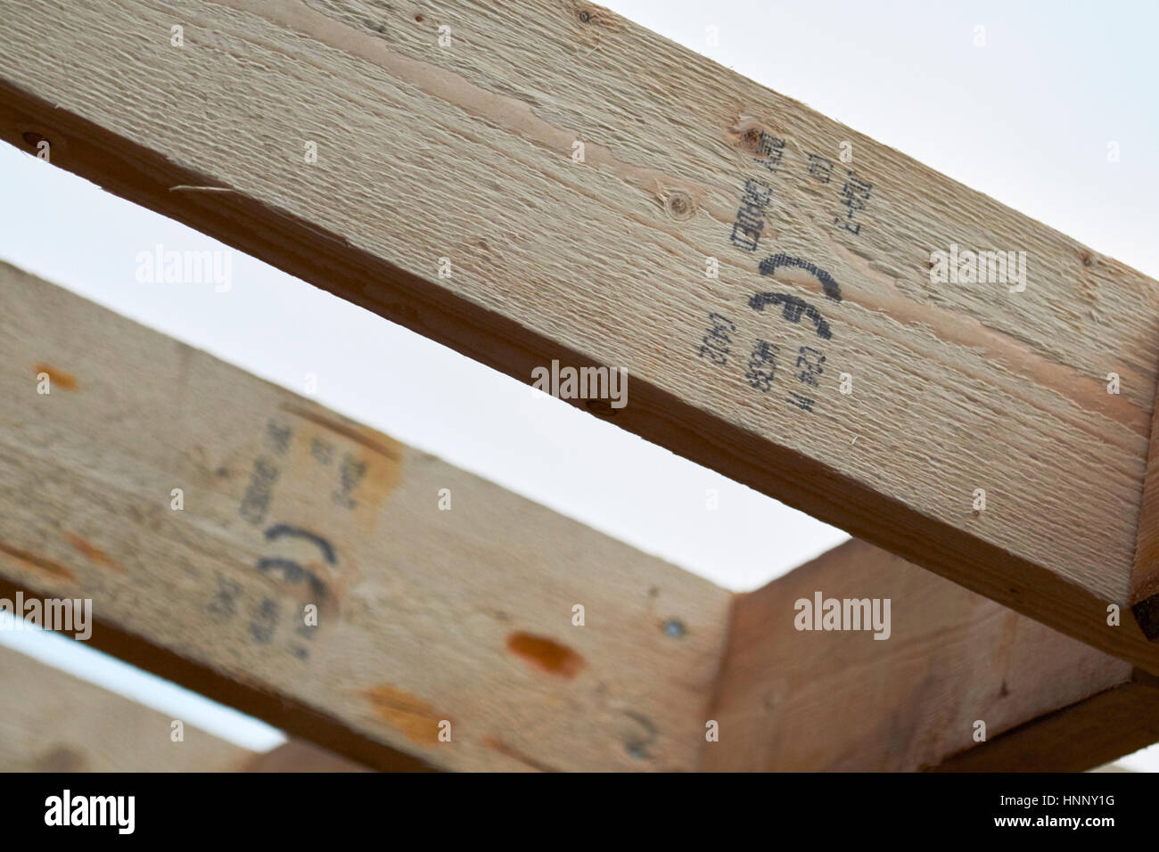 Ligne de toiture en bois estampillés ce bois de chevrons dans la construction d'extension au Royaume-Uni Banque D'Images