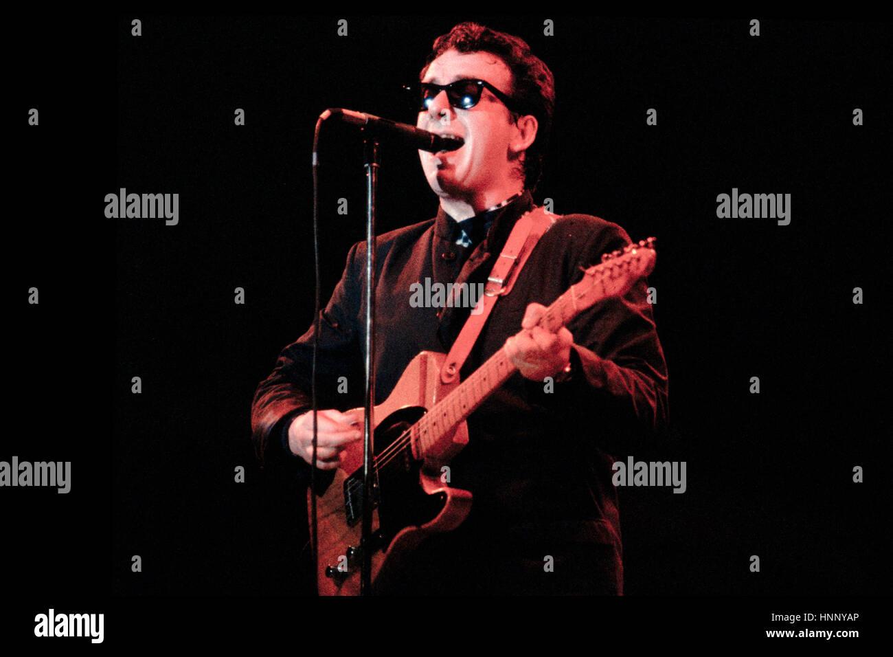 Elvis Costello sur scène 1984 Banque D'Images