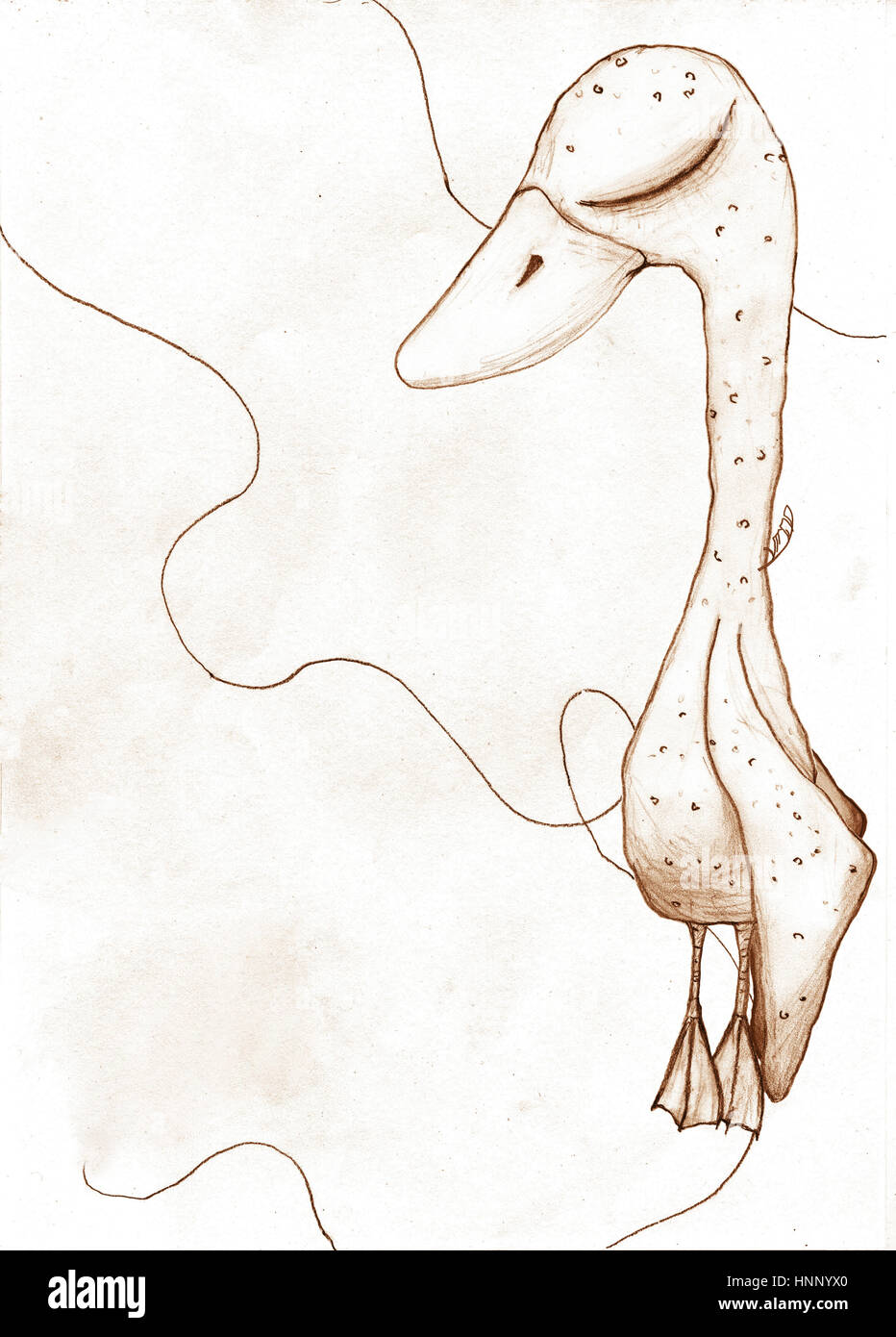 La Tristesse Et La Pauvreté Concept Canard Plumé Dépressifs