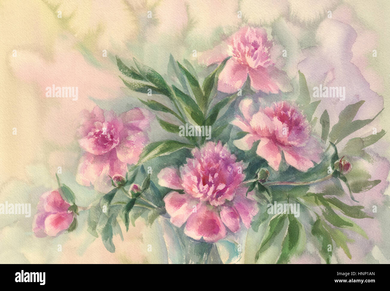 Bouquet de pivoines rose aquarelle Banque D'Images