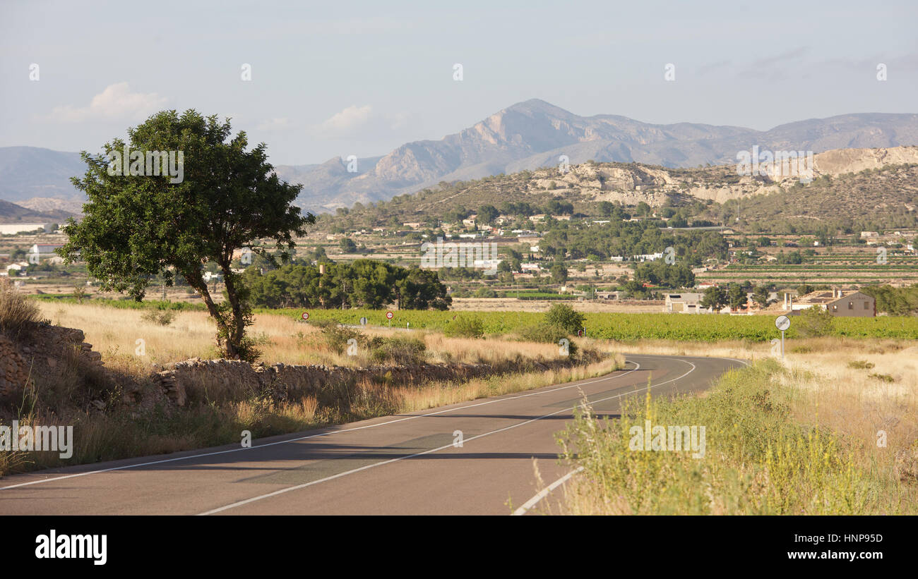 Campagne près de El Fondó de Les Neus, Province d'Alicante, Espagne Banque D'Images