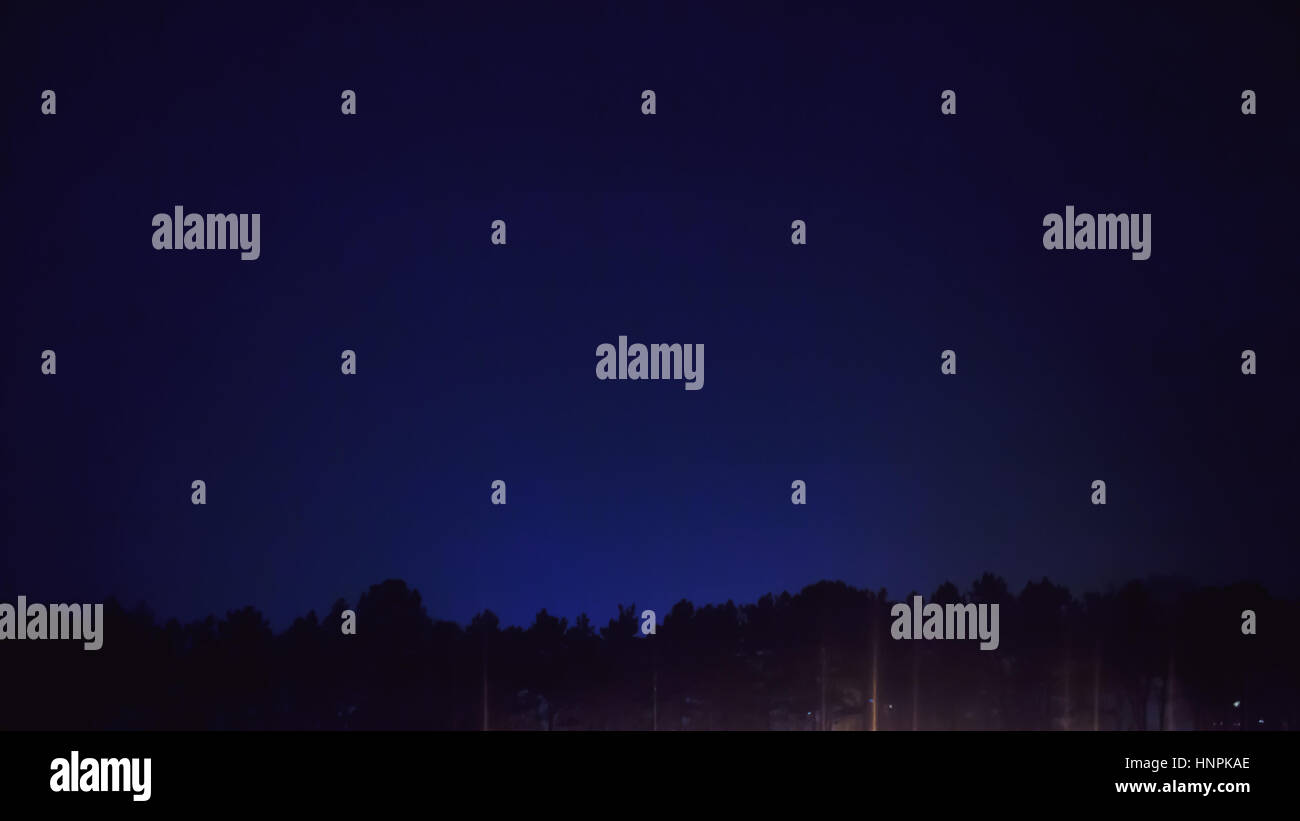 Composition abstraite, scène de nuit, haut de parc arbres et bleu nuit. Banque D'Images