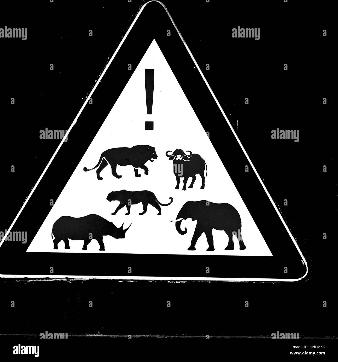 Blur en afrique du sud de près de l'inscription comme texture background Banque D'Images