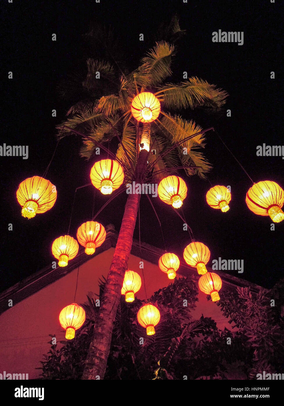 Palmier décorées avec des lampes d'un restaurant à Luang Prabang au Laos Banque D'Images