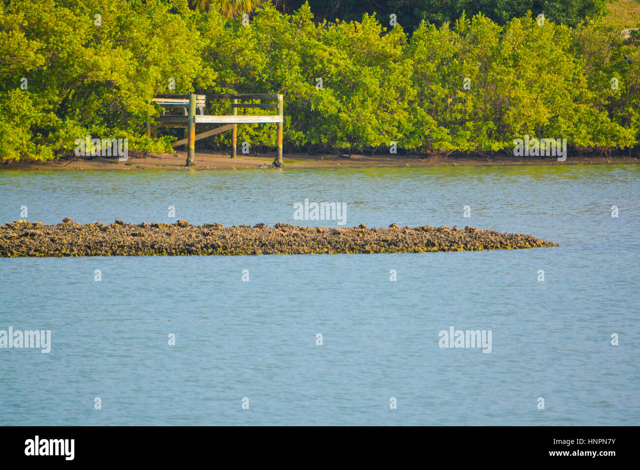 Dock sur la navigation intérieure près de Largo, en Floride. Banque D'Images