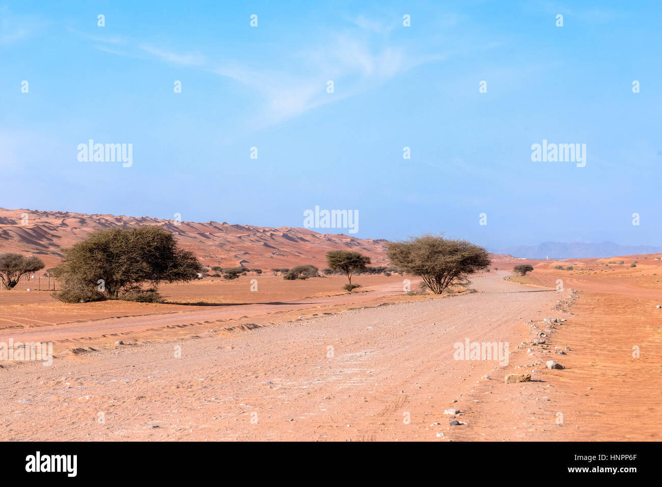 Wahiba Sands, Oman, au Moyen-Orient, en Asie Banque D'Images
