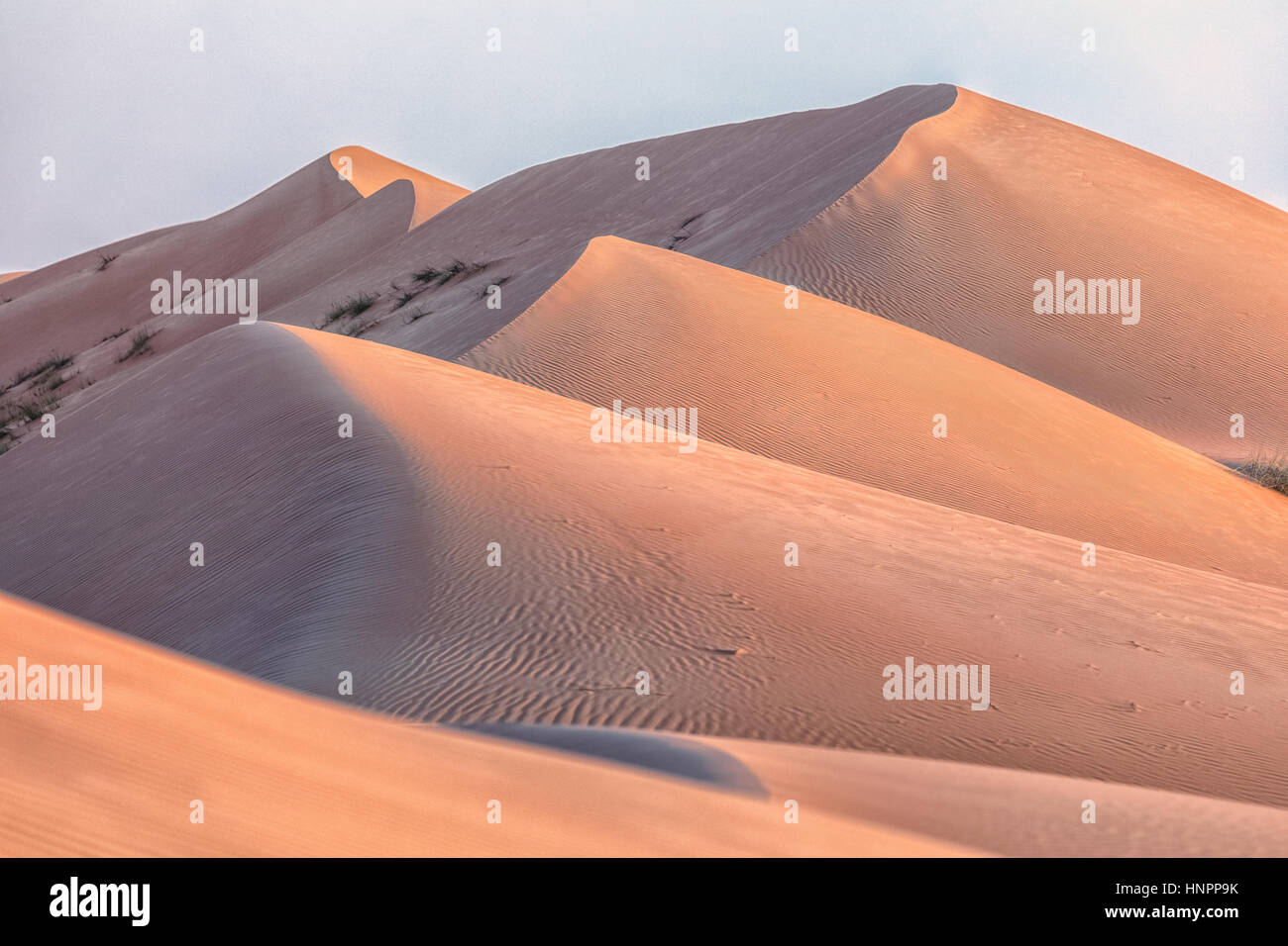 Wahiba Sands, Oman, au Moyen-Orient, en Asie Banque D'Images