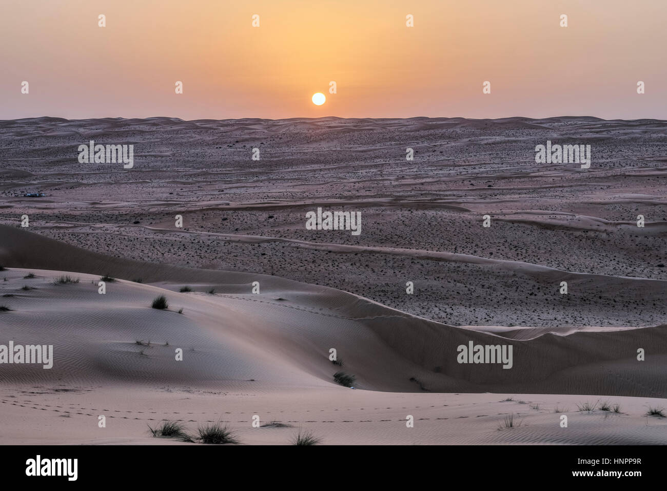Wahiba Sands, Oman, au Moyen-Orient, en Asie Banque D'Images
