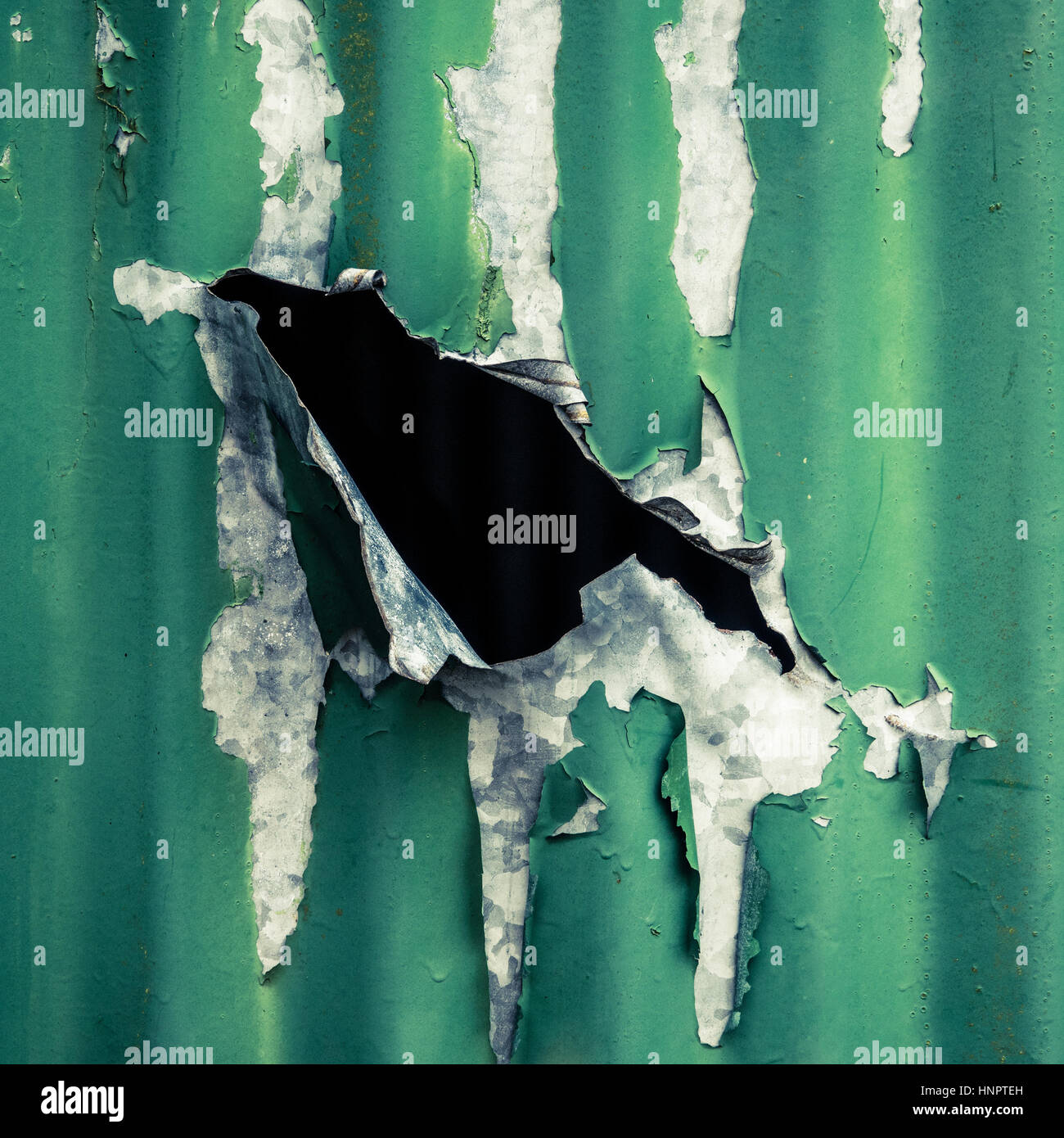 Détail d'un grand rustique Rip dans le côté d'une tôle ondulée Banque D'Images