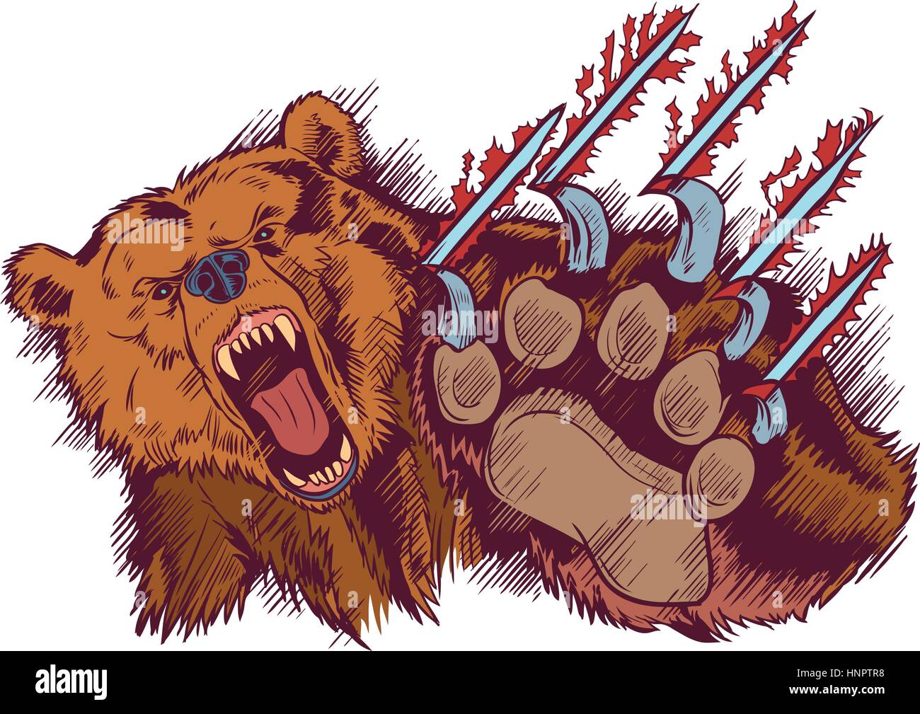 Vector Cartoon clip art illustration d'un ours brun mascot taillade ou griffant au premier plan. Illustration de Vecteur