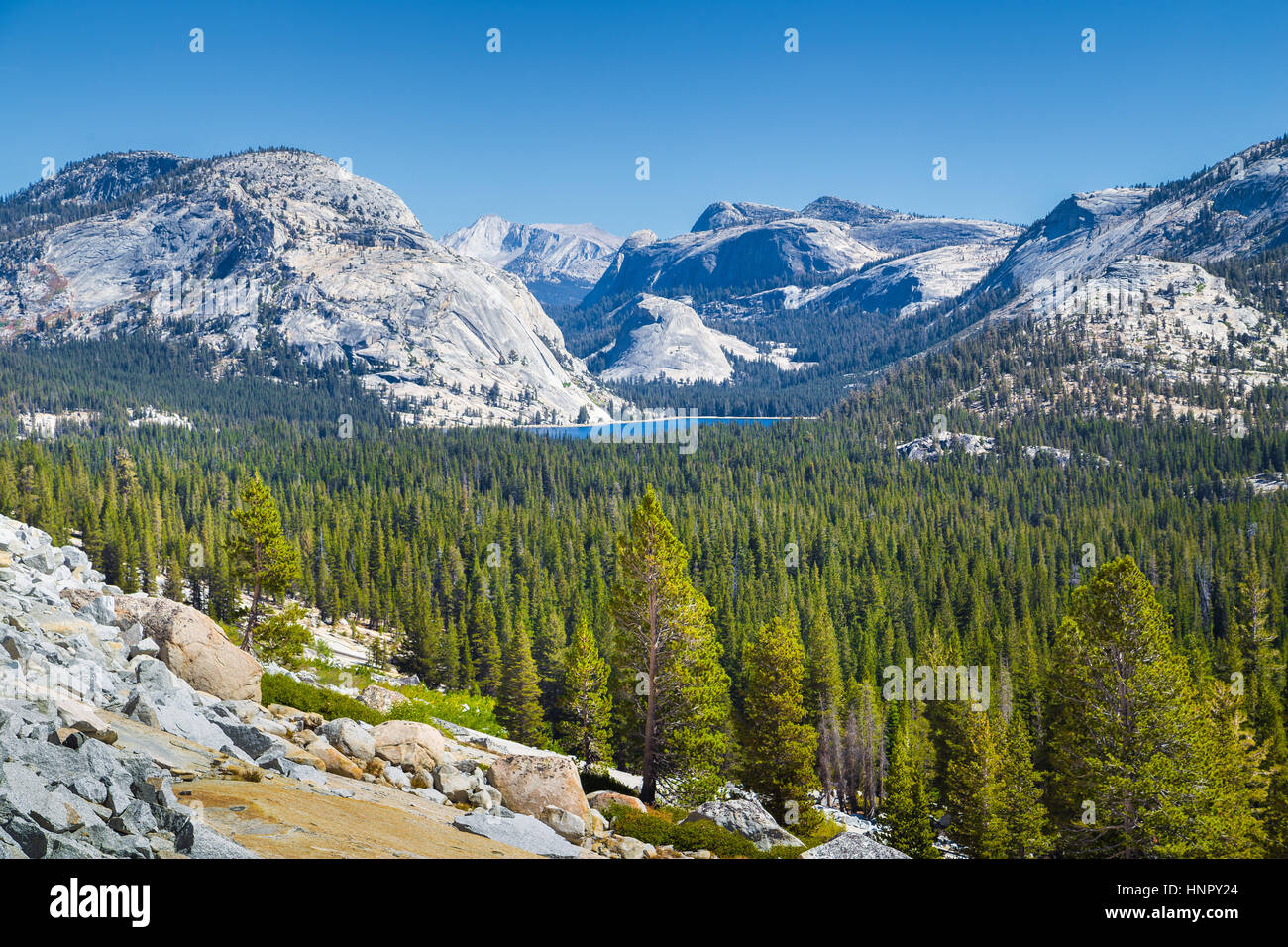 Vue panoramique de beaux paysages de montagne de la Sierra Nevada avec le célèbre Lac Tenaya lors d'une journée ensoleillée en été, Yosemite National Park, California, USA Banque D'Images