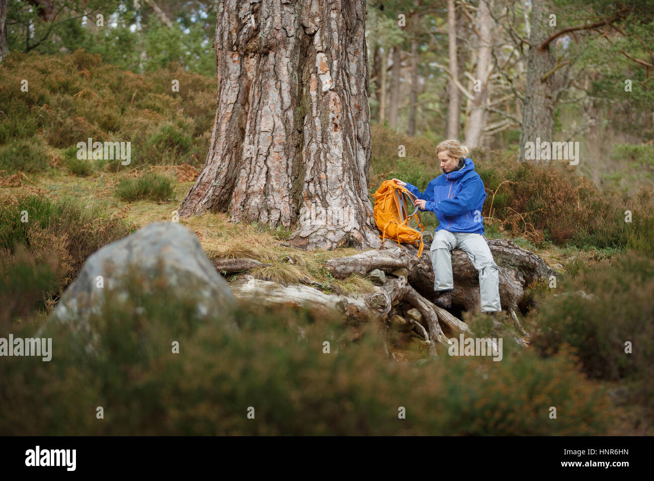 Randonnée femme en Ecosse Banque D'Images