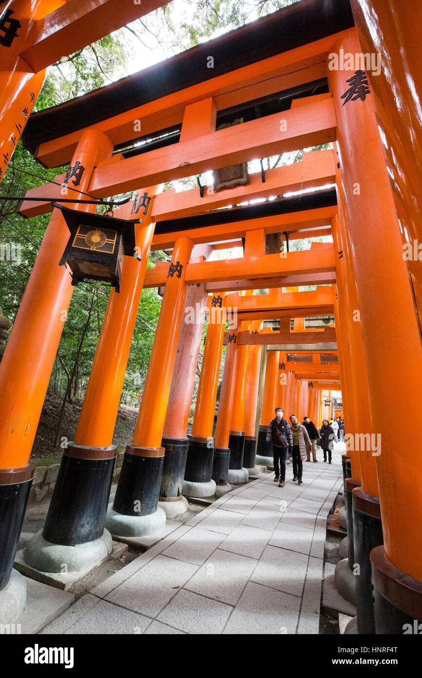 Sanctuaire Fushimi Inari (伏見稲荷大社 Fushimi Inari Taisha), est un important sanctuaire Shinto dans le sud de Kyoto. Banque D'Images