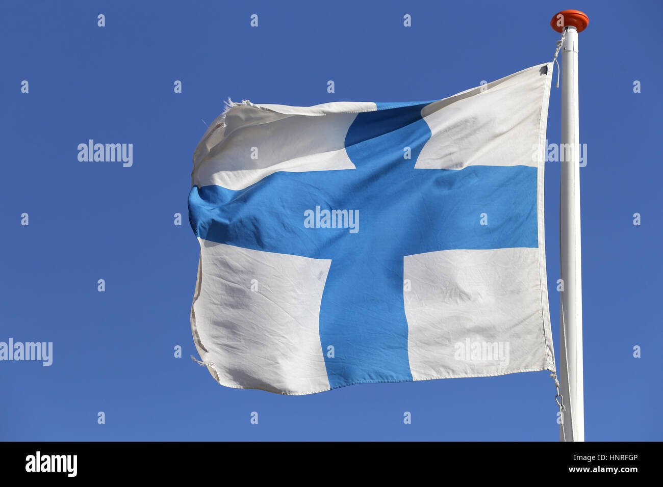 Drapeau Finlandais volant dans le vent Banque D'Images