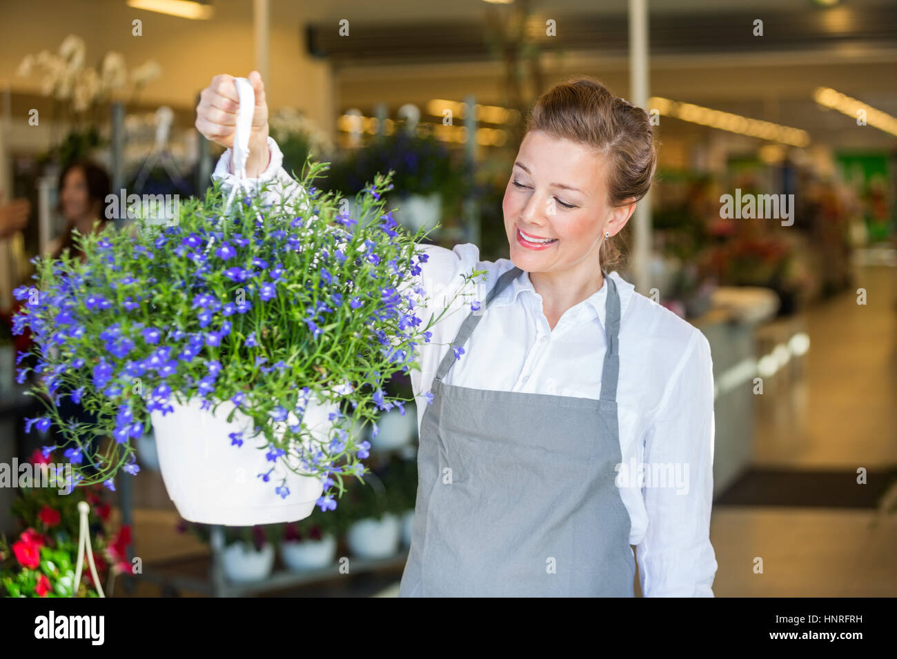 Fleuriste smiling holding purple flower plant in shop Banque D'Images