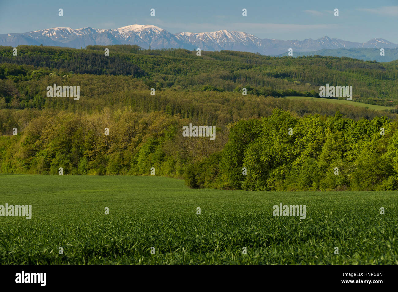 Des champs verts, forêts et collines avec hautes montagnes couvertes de neige dans la distance. Banque D'Images
