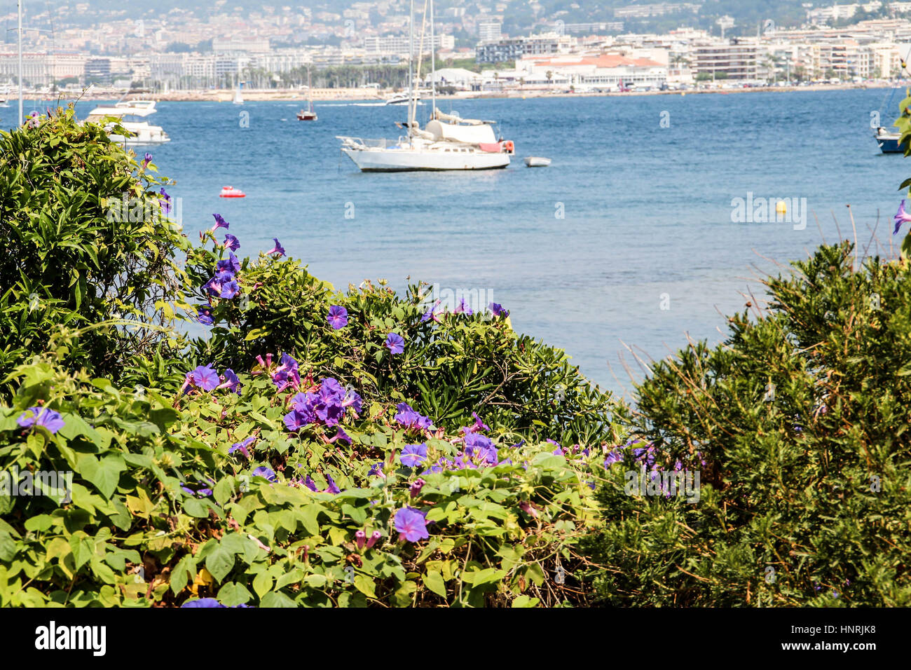Beaux paysages de l'océan d'Azur Banque D'Images