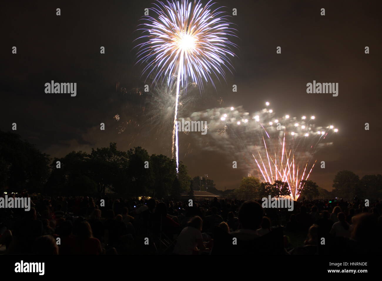 D'artifice du 4 juillet dans le parc de nuit Banque D'Images