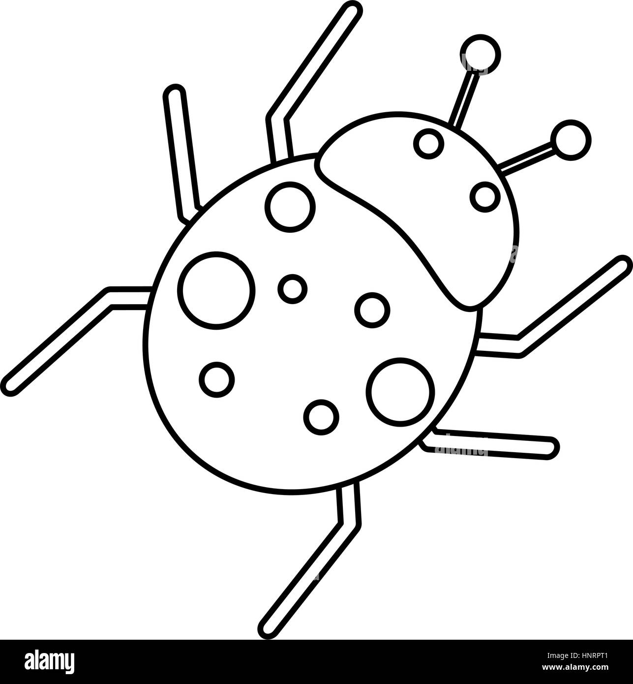 Fly coccinelle animal antenne fine ligne vector illustration eps 10 Illustration de Vecteur
