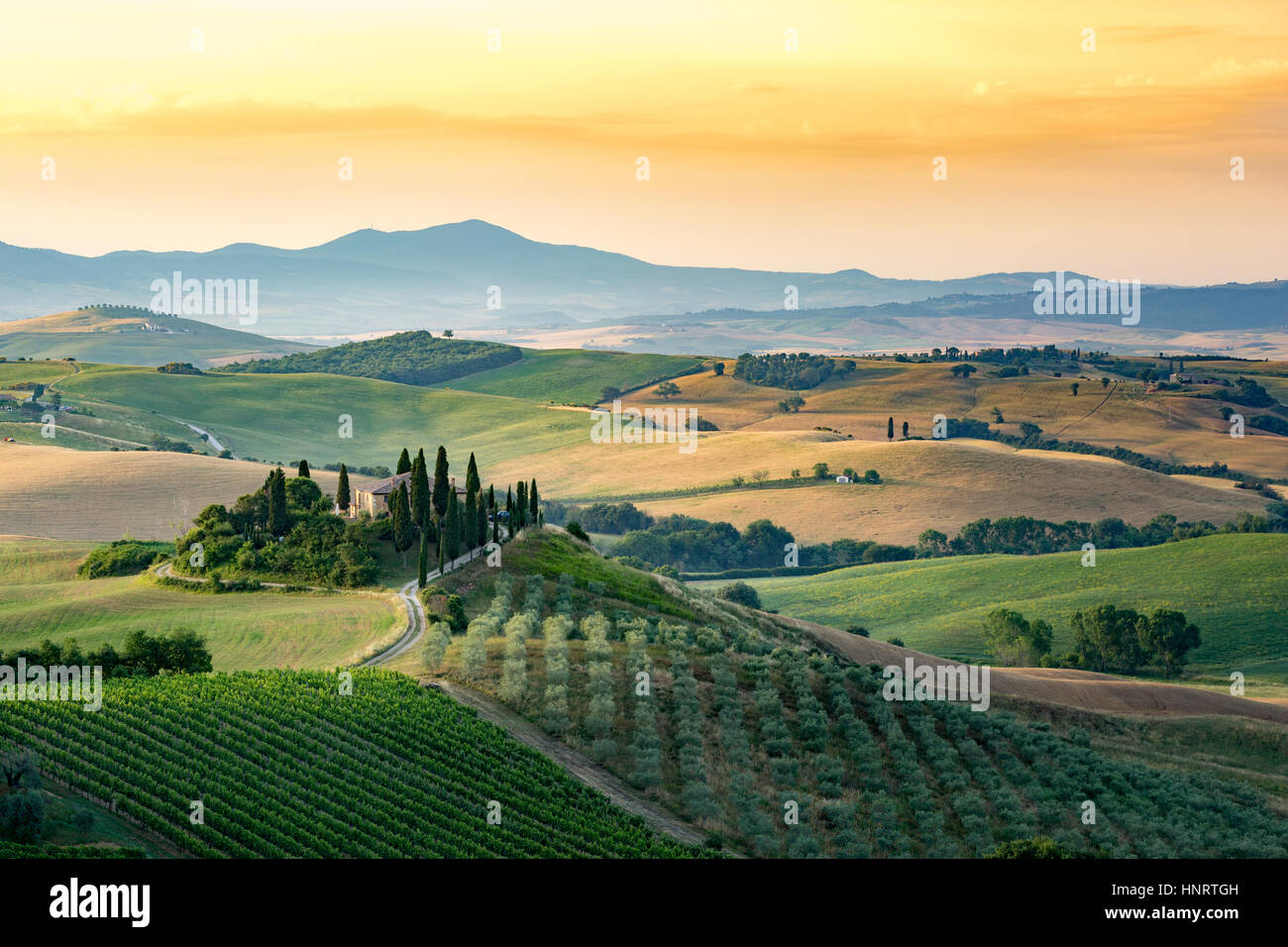 Toscane, Val d'Orcia. Collines et le paysage, Italie Banque D'Images