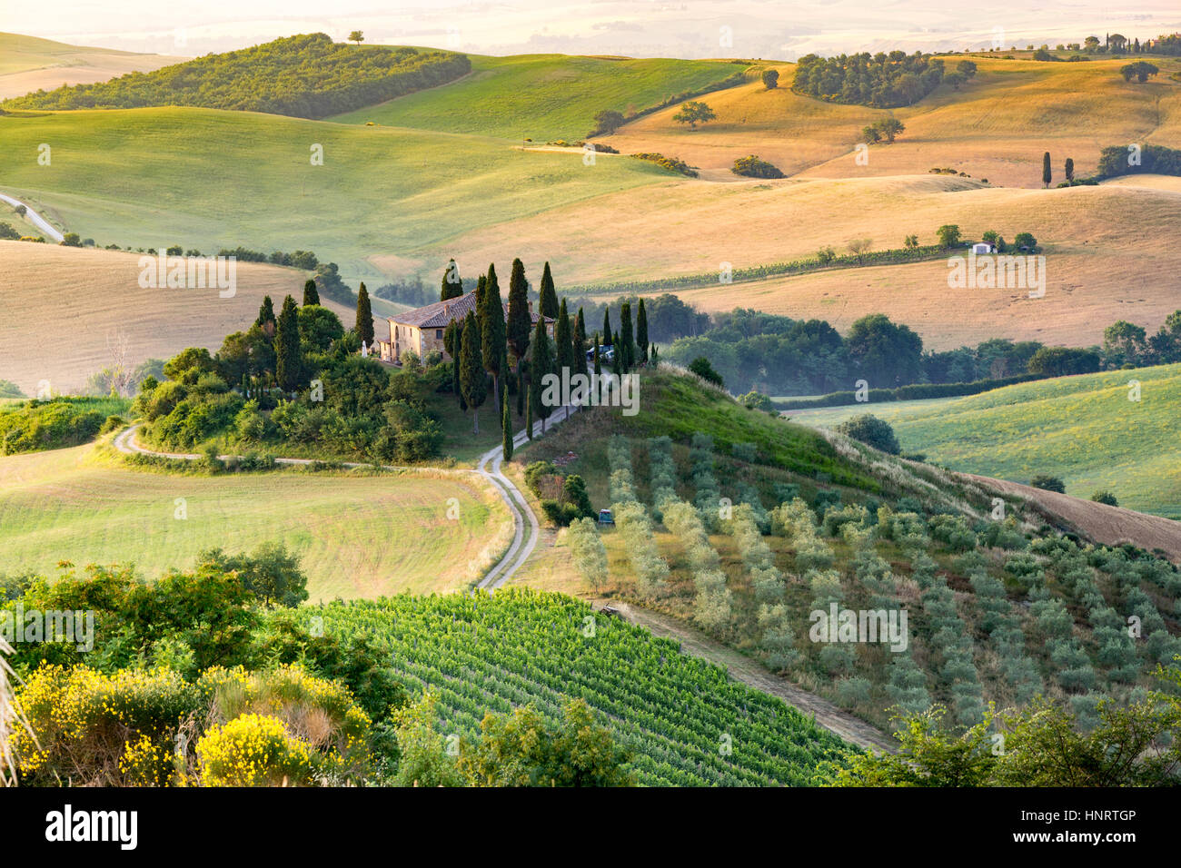 Toscane, Val d'Orcia. Collines et le paysage, Italie Banque D'Images