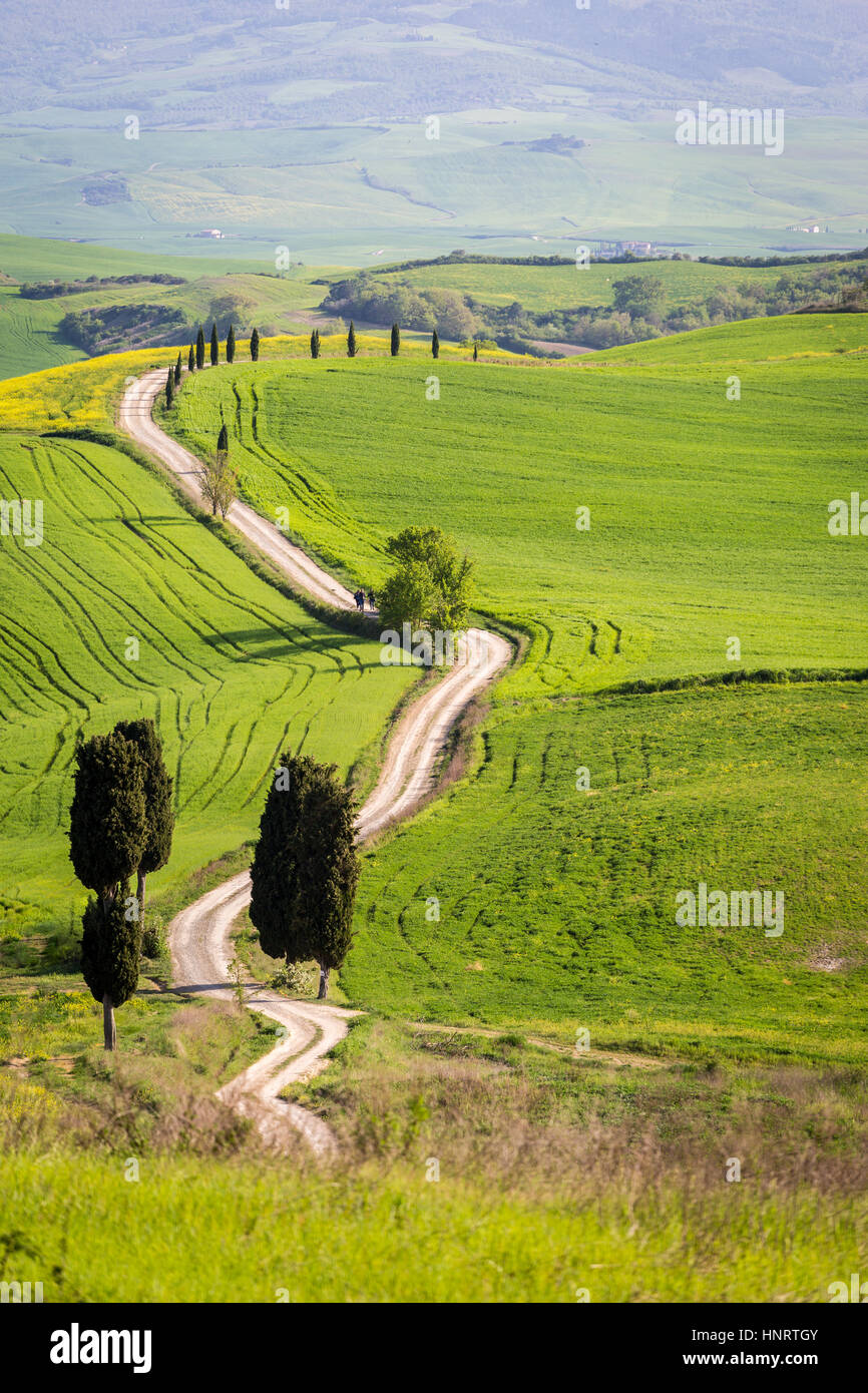 Toscane, Val d'Orcia. Collines et le paysage, Italie Banque D'Images