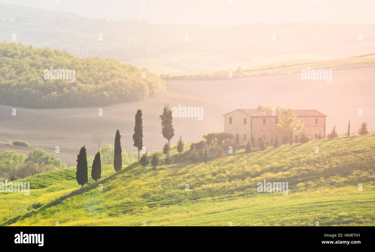 Toscane, Val d'Orcia. Collines et le paysage, Italie Banque D'Images