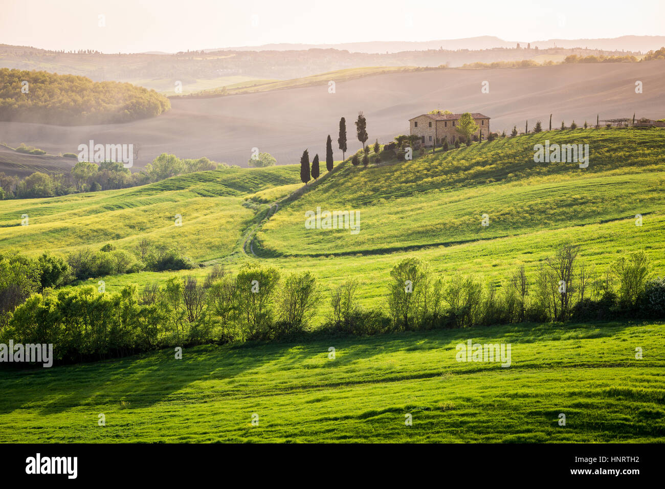 Toscane, Val d'Orcia. Collines et le paysage, Italie Banque D'Images