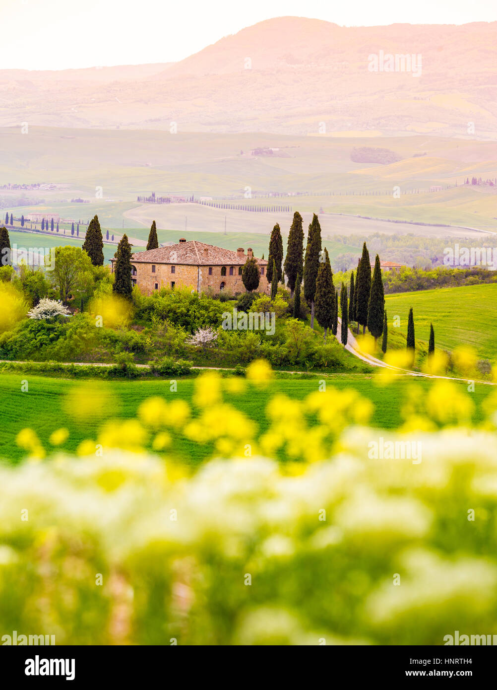 Toscane, Val d'Orcia. Collines et le paysage, Italie Banque D'Images