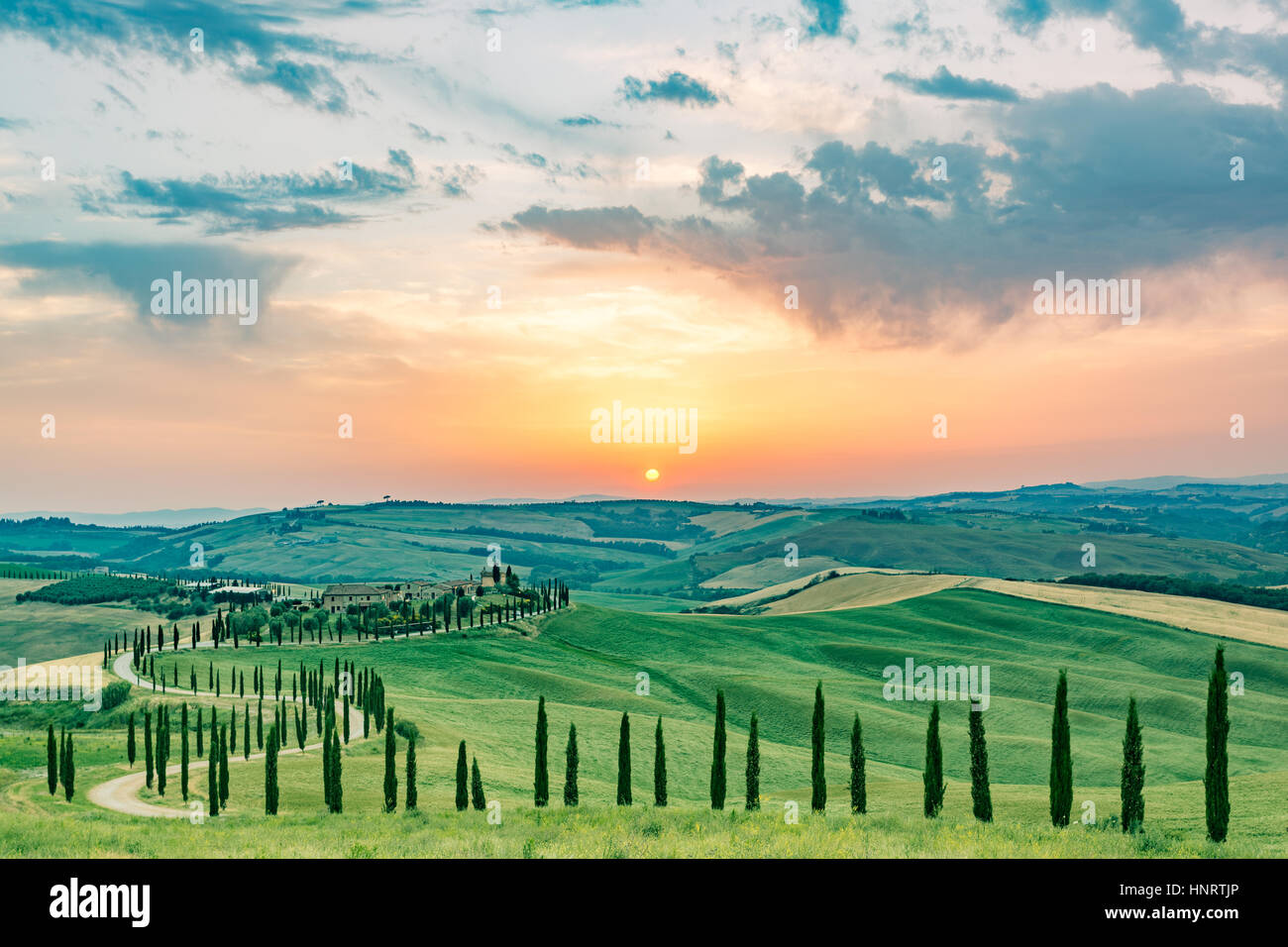 Asciano, cyprès et de collines. Crete Senesi, Toscane, Italie Banque D'Images