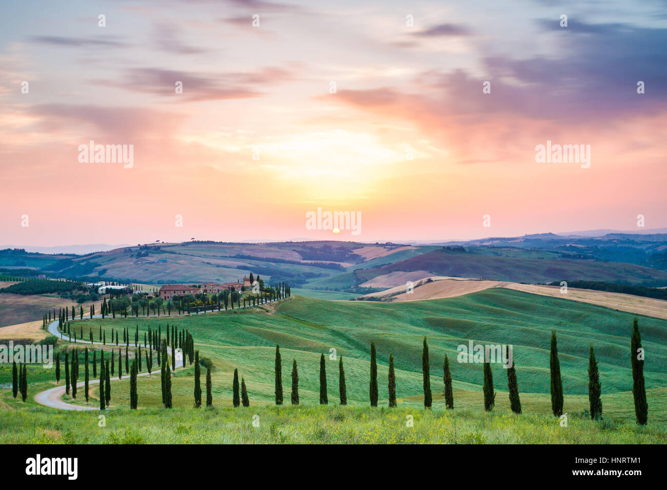 Asciano, cyprès et de collines. Crete Senesi, Toscane, Italie Banque D'Images