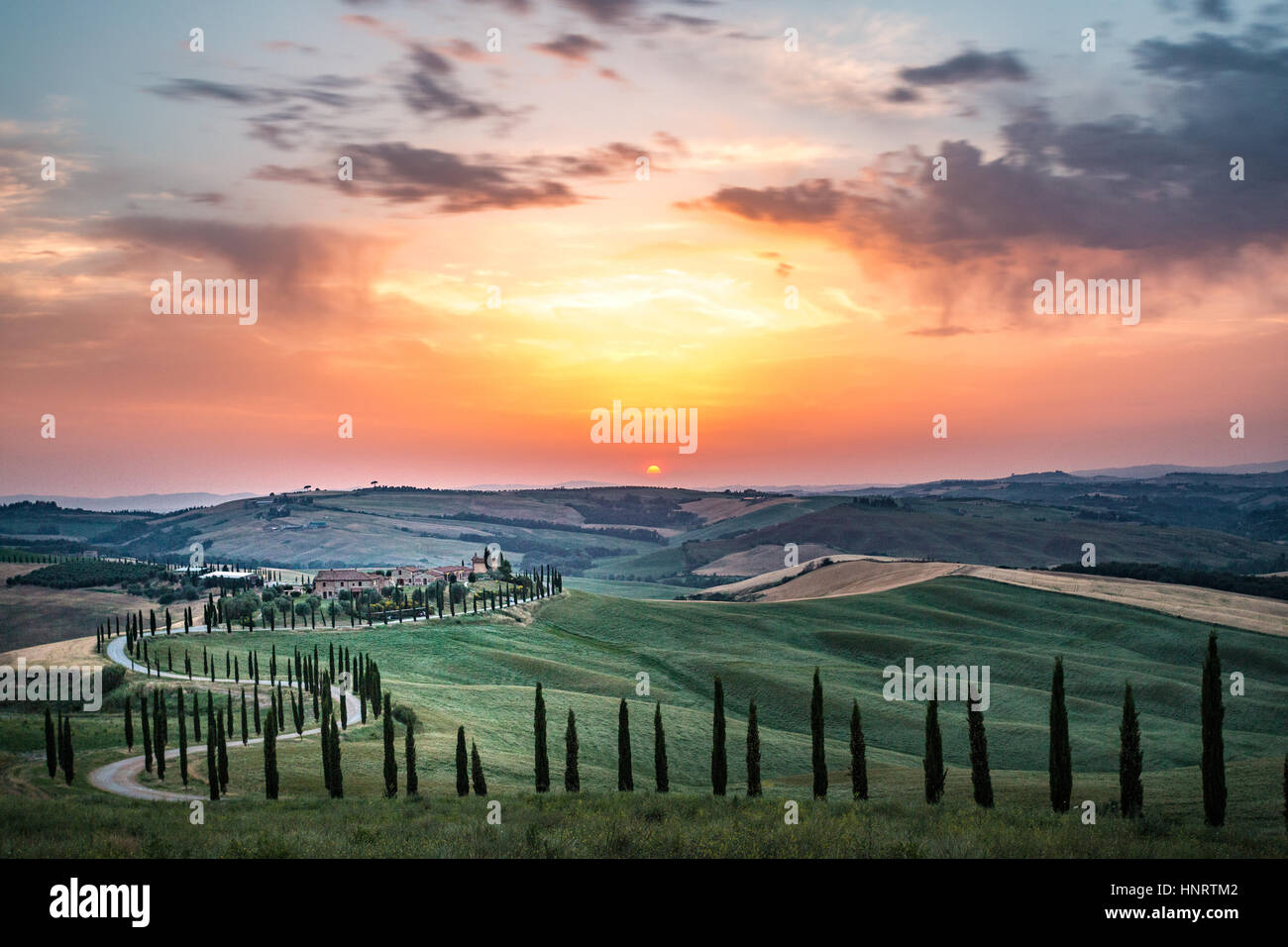 Asciano, cyprès et de collines. Crete Senesi, Toscane, Italie Banque D'Images
