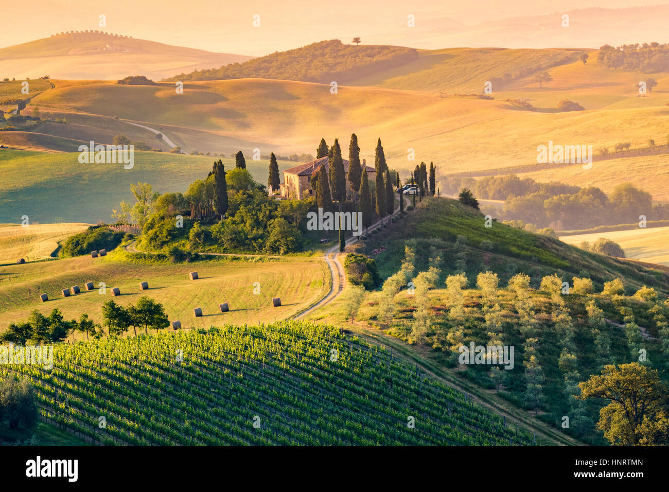 Toscane, Val d'Orcia. Collines et le paysage, Italie Banque D'Images