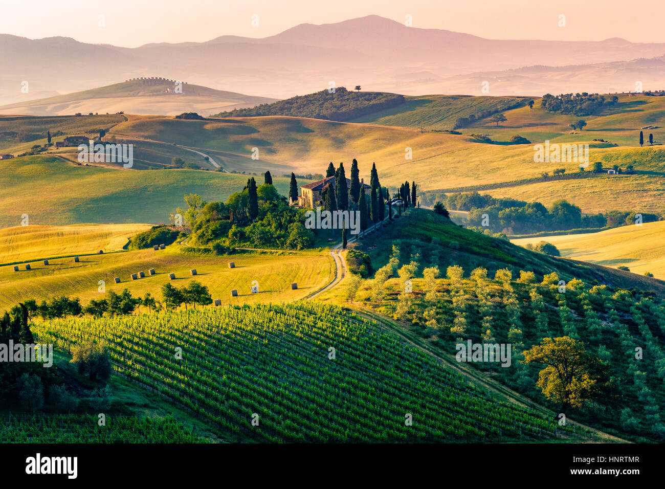 Toscane, Val d'Orcia. Collines et le paysage, Italie Banque D'Images