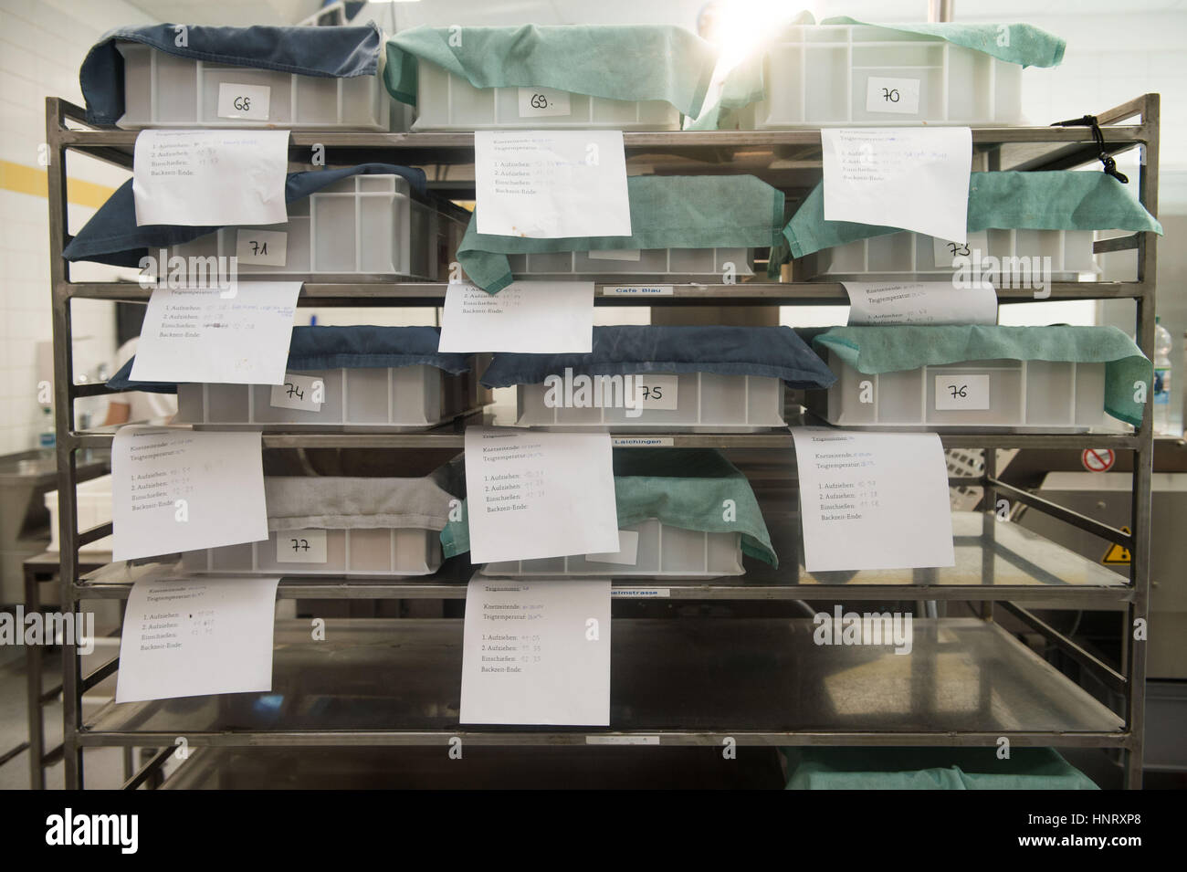 Miches de pain à base de blé faites avec différentes proportions de farines dans la boulangerie de Beck Roemerstein, Allemagne, 15 février 2017. Les chercheurs de l'Université de Hohenheim a entrepris un marathon de cuisson à l'aide de 40 différentes variétés de farines de blé afin de vérifier leur qualité et leur saveur. Photo : Lino Mirgeler/dpa Banque D'Images