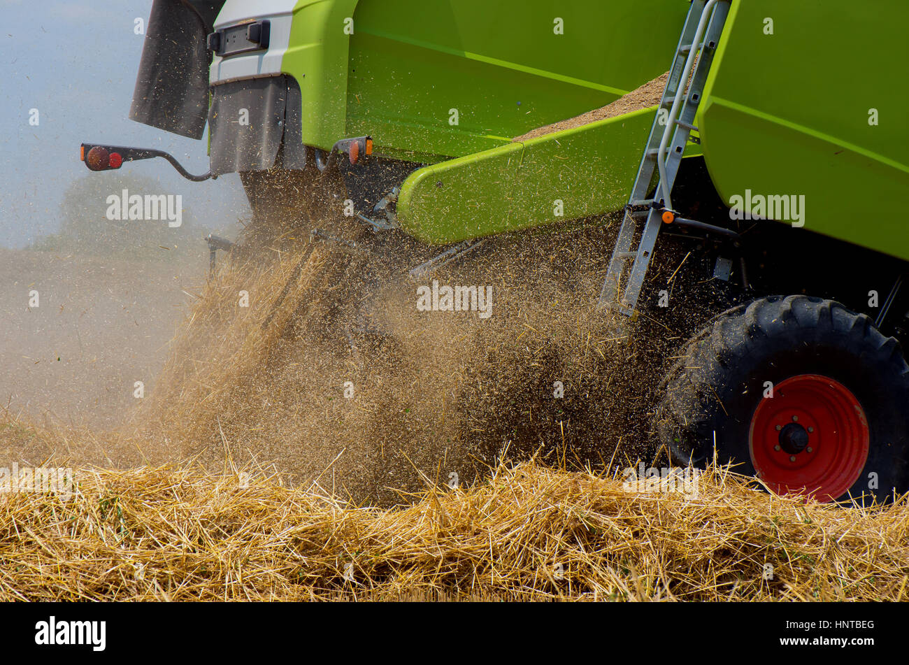 La récolte. Moissonneuse-batteuse travaille sur un champ de blé. Banque D'Images