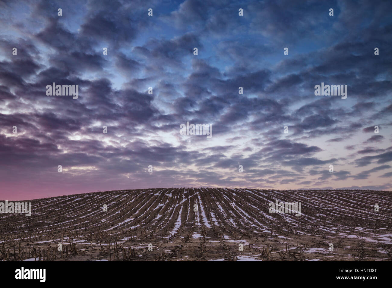 Lever de soleil spectaculaire nuages sur l'hiver aux champs agricoles Banque D'Images