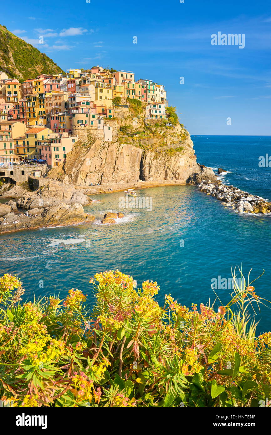 Manarola, Cinque Terre, ligurie, italie Banque D'Images