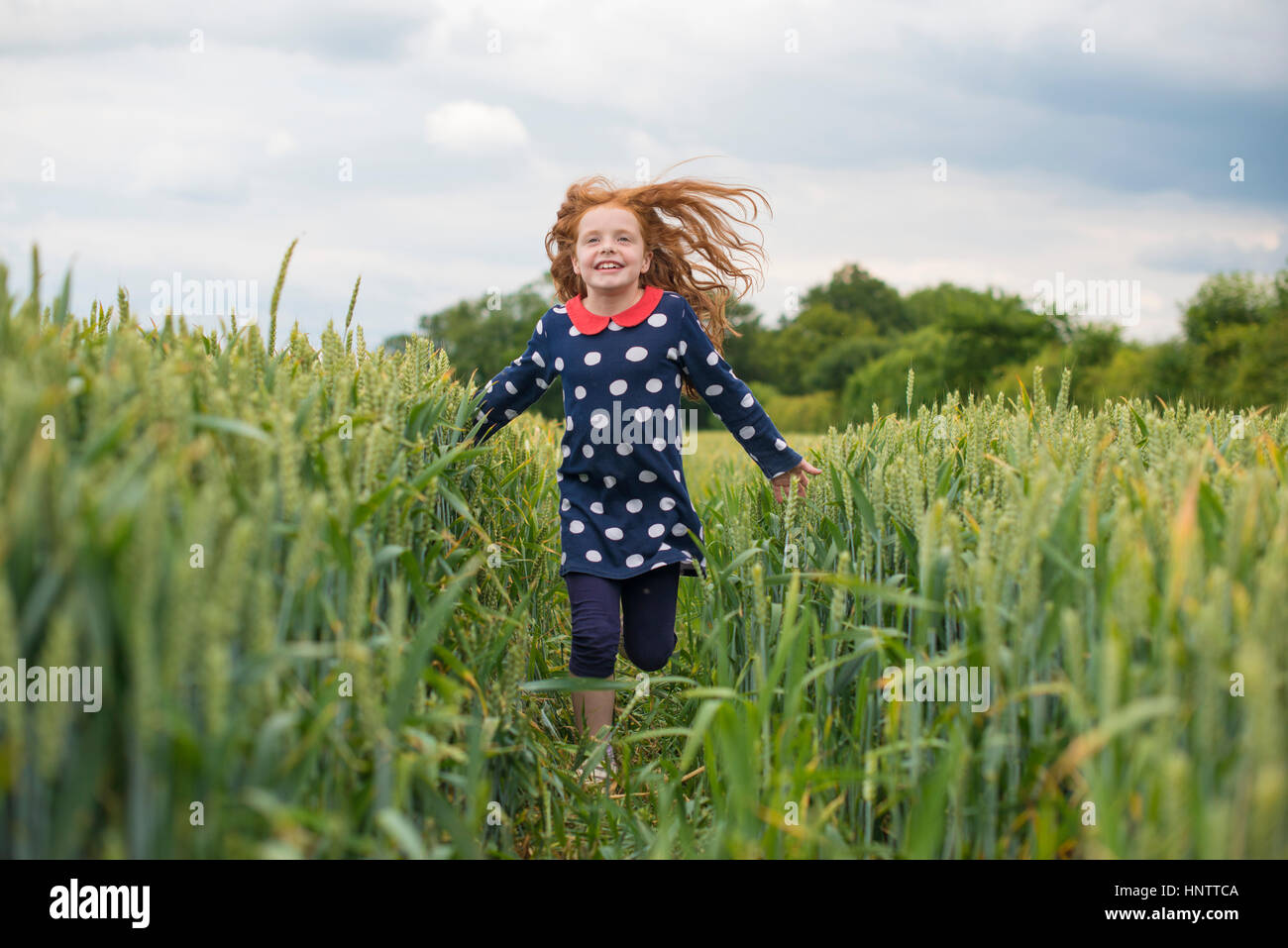 Une petite fille aux cheveux rouge qui traverse un champ de blé. Banque D'Images